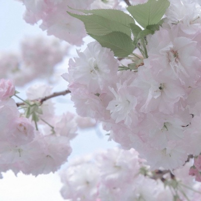 Furry绘画原创思路兽圈社群